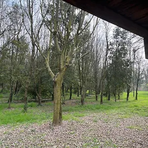 Woods Italie
